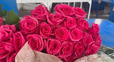 Yalova'da çiçek mezadında 'Anneler Günü' yoğunluğu