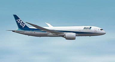 Yolcu acil çıkış kapısını açmaya çalıştı, uçak acil iniş yaptı