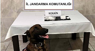 Yolcu otobüsüyle uyuşturucu sevkiyatı 'Etil'e takıldı