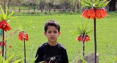 Yüksekova'da ters laleleri jandarma ekipleri koruyor