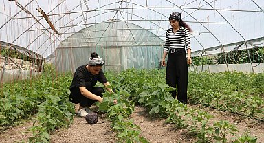 Yüksekovalı kuzenler Neslihan ile Zeynep, kurdukları serada sebze yetiştiriyor