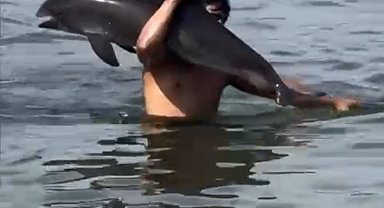 Yüzerken karşılaştığı ölü yunusu omzuna alıp, kıyıya bıraktı; o anlar kamerada