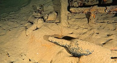 110 yıllık şarap şişesi gün yüzüne çıkarıldı