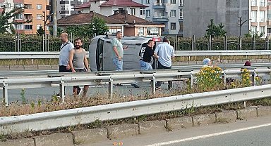 2 kardeşin öldüğü kazaya arı paniği neden olmuş