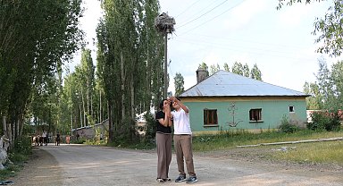 22 yıldır göç etmeyen leyleklere bakıyorlar