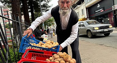 'Cevizci Dede' çalışma azmiyle gençlere örnek oluyor
