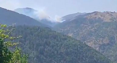 Adana'da orman yangını