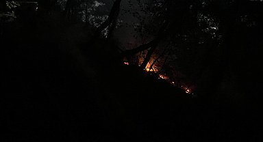 Adana'da orman yangını