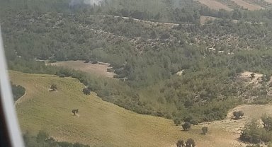 Adana'da orman yangını