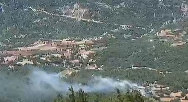 Adana'da orman yangını