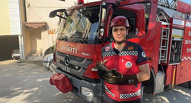 Ağaçta iki gün mahsur kalan kedi yavrusunu itfaiye ekipleri kurtardı