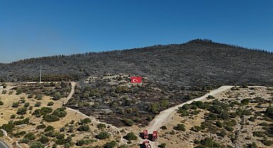 Aliağa'da yanan alanlar havadan görüntülendi