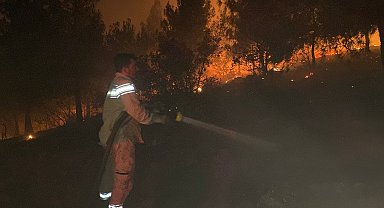 Anız yakarken ormanı yaktılar