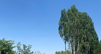 Ankara'da jandarmadan dron destekli yangın devriyesi