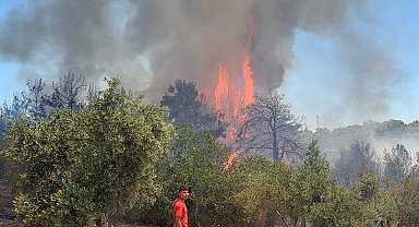 Antalya Aksu'da orman yangını