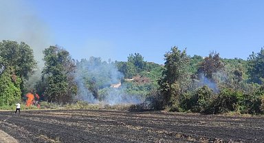 Antalya'da orman yangını