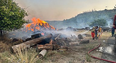 Antalya'da orman yangını