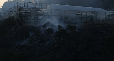 Antalya'da orman yangını