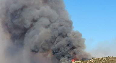 Antalya'da orman yangını