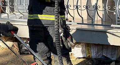 Apartmanın bahçesine giren Kafkas burunlu engerek yılanını itfaiye ekipleri yakaladı