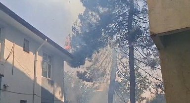Araştırma merkezinin bahçesinde çıkan yangın, yan binanın çatısına sıçradı