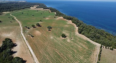 Askerin yazdığı destan, Çanakkale Savaşları'nın şiddetini yansıtıyor