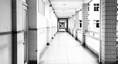 Avusturya'da liseye silahlı saldırı: 10 kişi hayatını kaybetti