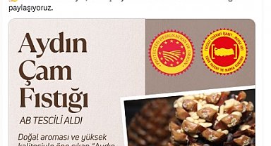 Aydın çam fıstığına AB'den coğrafi işaret tescili