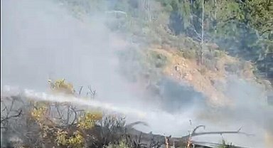 Aydın ve Muğla'daki orman yangınları söndürüldü