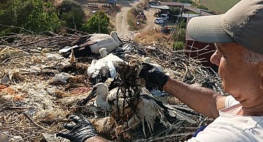 Aydın'da ayağına ip dolanan yavru leylek kurtarıldı