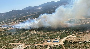 Aydın'da maki yangını