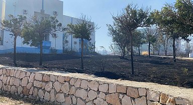 Aydın'da makilik yangını