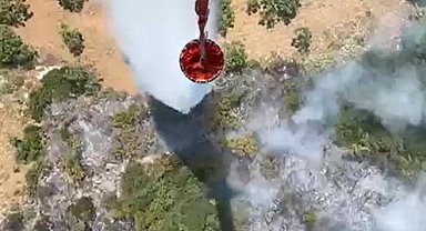 Aydın'da orman yangını