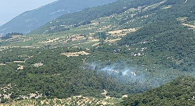Aydın'da orman yangını