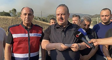 Aydın'da orman yangını