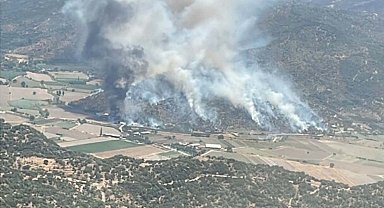 Aydın'da tarım arazisinde yangın