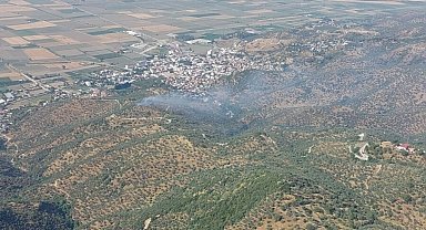 Aydın'da, tarım arazisindeki yangın 1,5 saatte söndürüldü