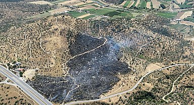 Aydın'daki yangın kontrol altına alındı; 4 hektar zeytinlik zarar gördü