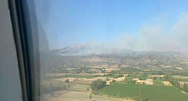 Aydın'ın Bozdoğan'da maki yangını