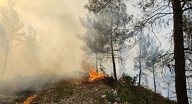 Balıkesir'de orman yangını