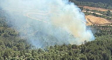 Balıkesir'de orman yangını