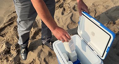 Bartın'da mavi bayraklı plajda kirlilik; denize girmek yasaklandı