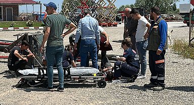 Bayrak asmak için çıktıkları vinç devrildi; 2 işçi yaralı