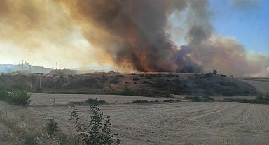 Bilecik'te orman yangını - Yeniden