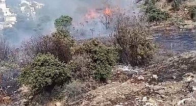 Bodrum'da maki yangını