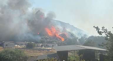Bodrum'da maki yangını