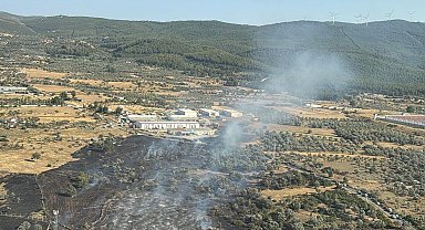 Bodrum'da tarım arazisinde yangın, 2 hektar zarar gördü