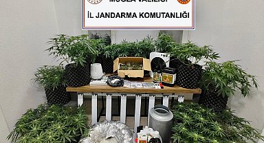 Bodrum'da uyuşturucuya 1 tutuklama