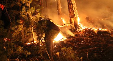 Bolu'da orman yangını