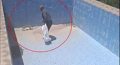 Boş havuza düşen yavru tilkiyi kurtardı; o anlar kamerada